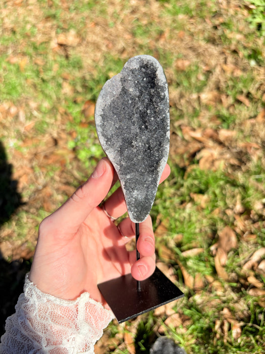 Sugary Black Amethyst on Stands
