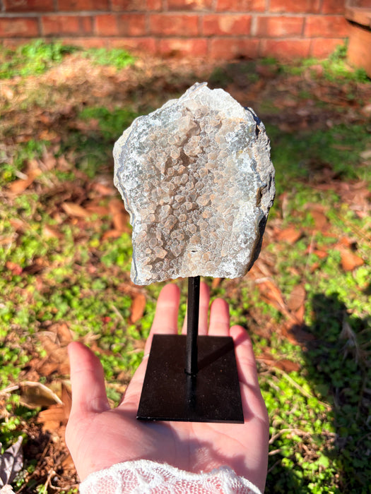 Gemy Orange/Gray Agate On Stand