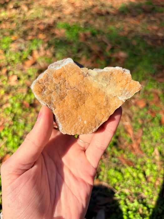 Sugary Bright Orange Agate On Stand