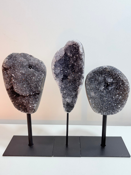 Sugary Black Amethyst on Stands