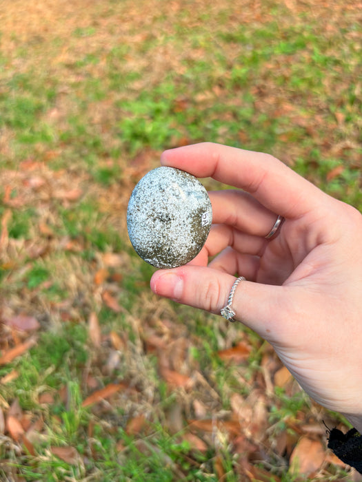 Small Ocean Jasper Palm