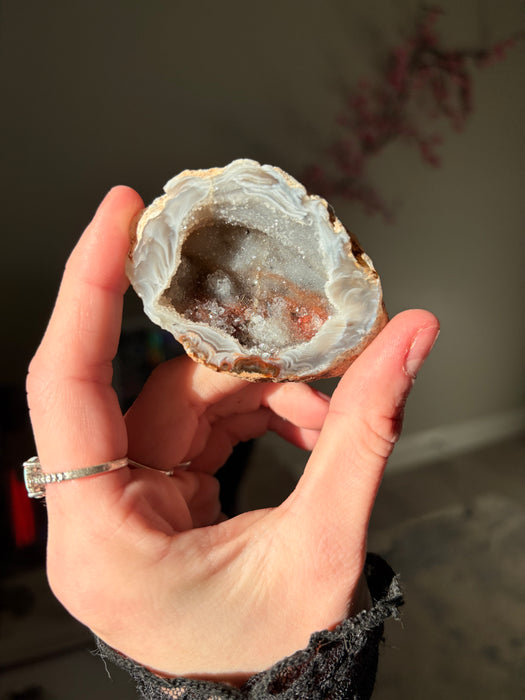Druzy Natural Agate Geode
