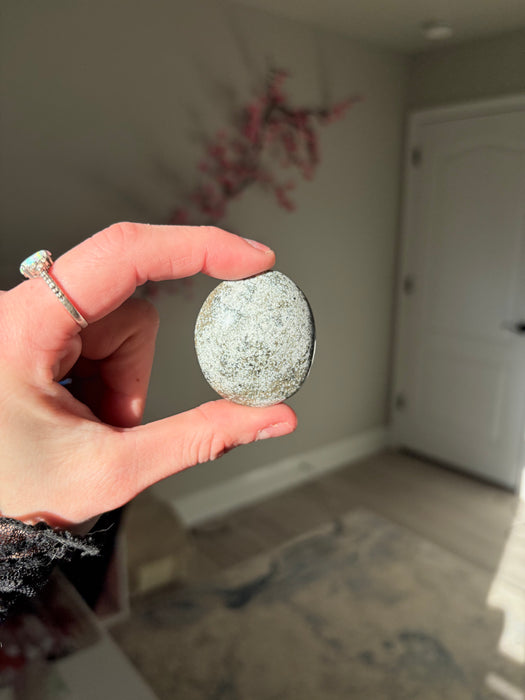 Small Ocean Jasper Palm