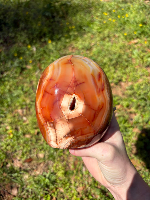 Dreamy Carnelian & Orca Agate Freeform