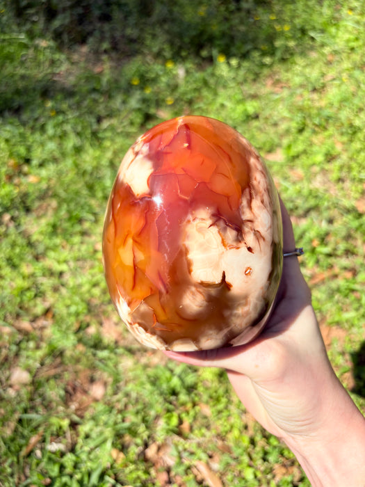 Dreamy Carnelian & Orca Agate Freeform