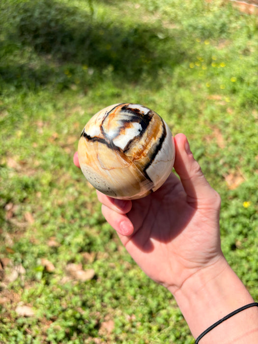 Dreamy Petrified Peanut Wood Sphere