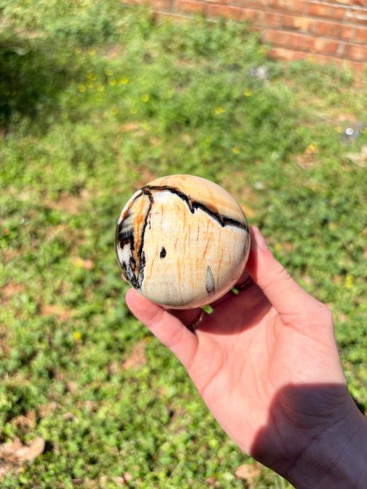 Dreamy Petrified Peanut Wood Sphere