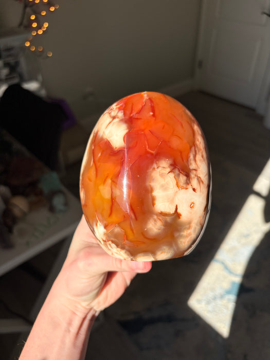 Dreamy Carnelian & Orca Agate Freeform