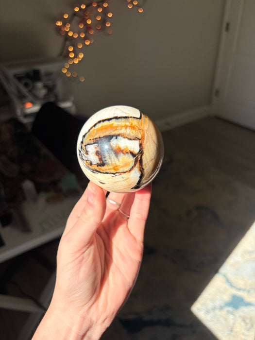 Dreamy Petrified Peanut Wood Sphere
