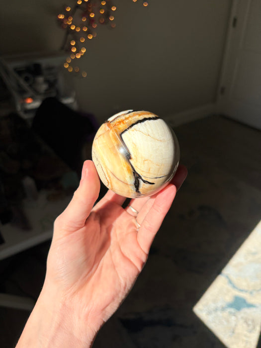 Dreamy Petrified Peanut Wood Sphere