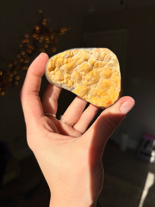 Yellow Velvety Sugar Agate Freeforms