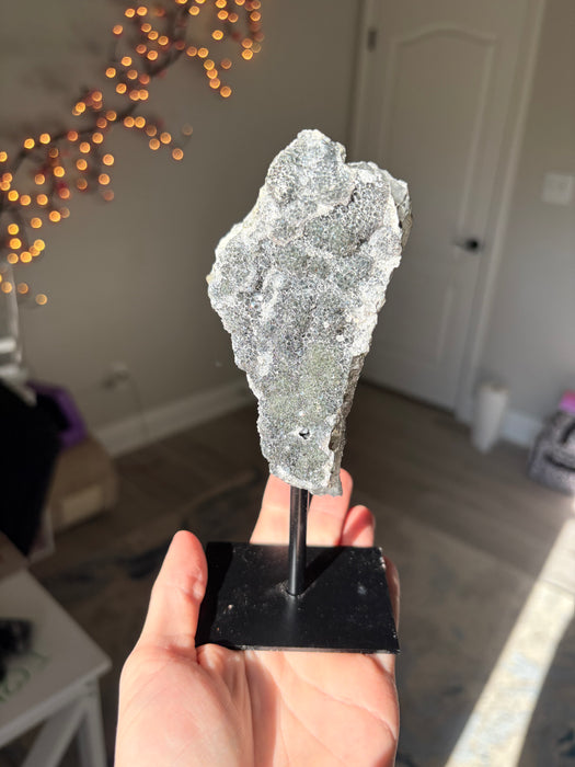 Sugary Black Amethyst on Stands