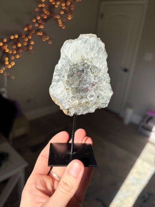 Sugary Black Amethyst on Stands