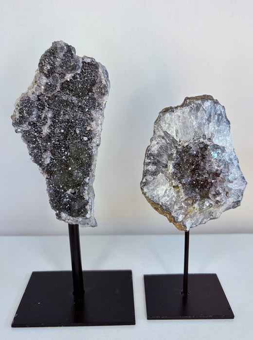 Sugary Black Amethyst on Stands