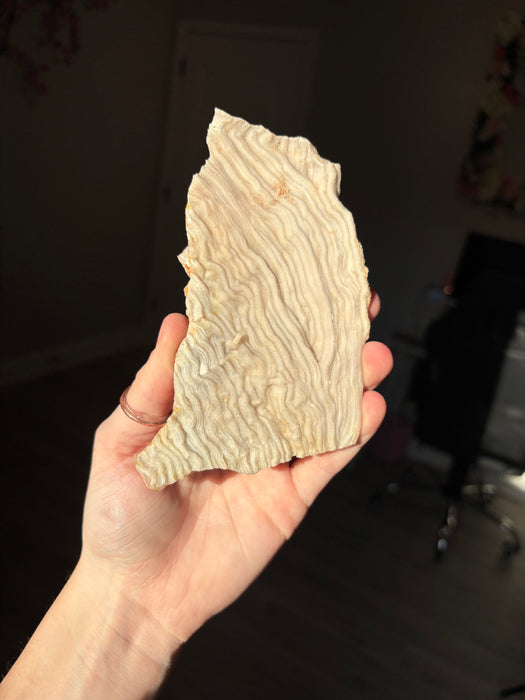 Multicolor Raw Chalcedony Specimen