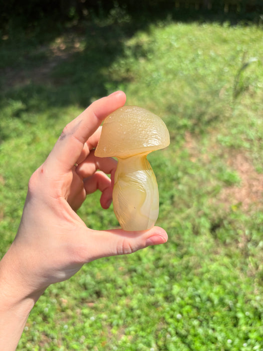 Large Green & Clear Gobi Agate Mushroom