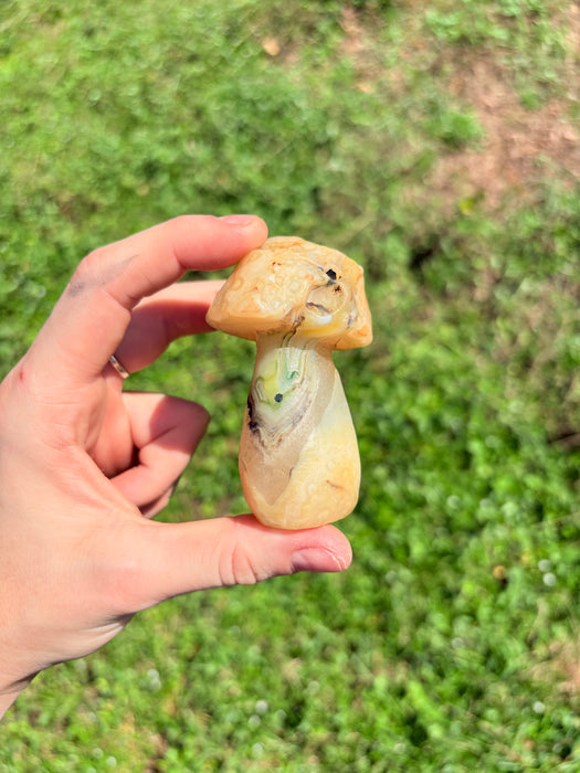 Large Yellow & Green Gobi Agate Mushroom