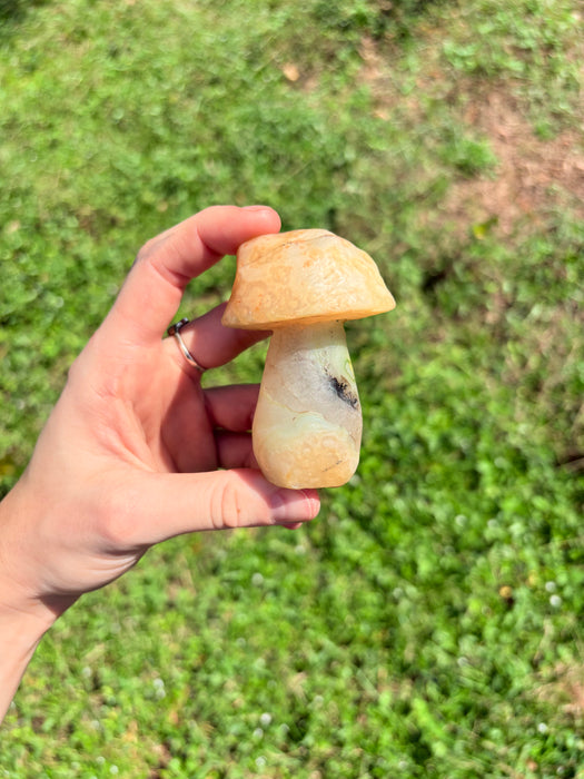 Large Yellow & Green Gobi Agate Mushroom