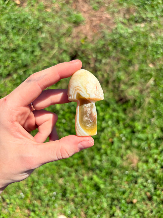 Green & White Gobi Agate Mushroom