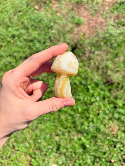 Light Green & White Gobi Agate Mushroom