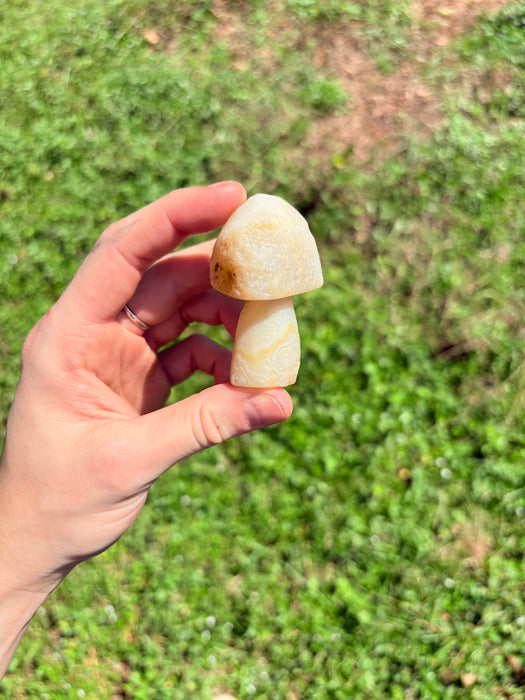Light Green & White Gobi Agate Mushroom