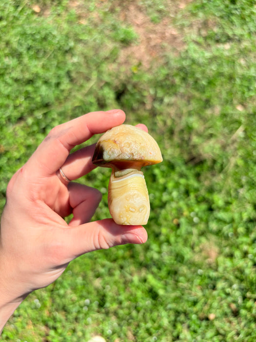 Green & White Gobi Agate Mushroom