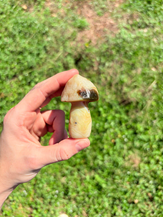 Green & White Gobi Agate Mushroom