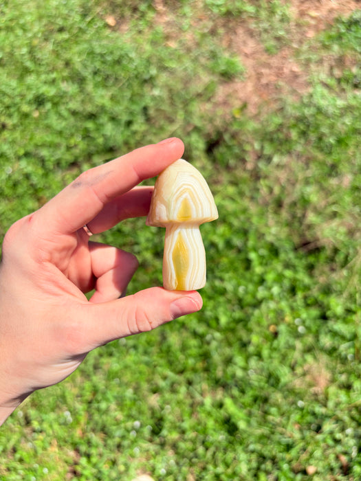 Light Green & White Gobi Agate Mushroom