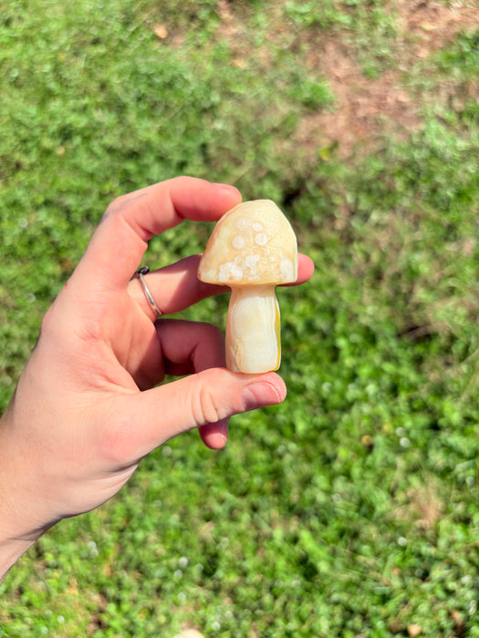 Light Green & White Gobi Agate Mushroom