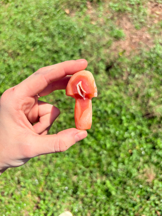 Vivid Orange & White Gobi Agate Mushroom