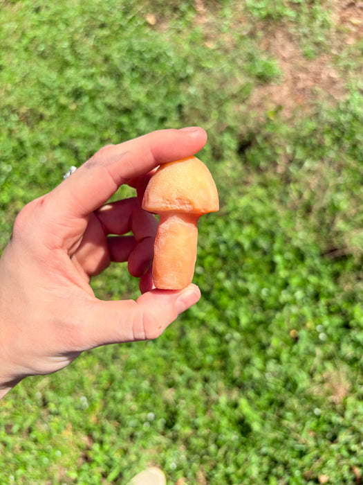 Vivid Orange & White Gobi Agate Mushroom