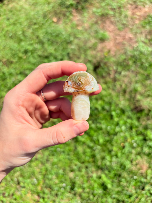White, Green, Orange & Blue Gobi Agate Mushroom