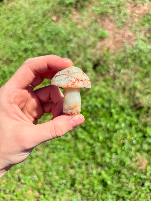 White, Green, Orange & Blue Gobi Agate Mushroom