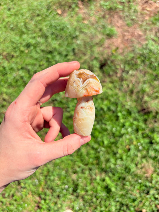 White, Green, Orange & Blue Gobi Agate Mushroom