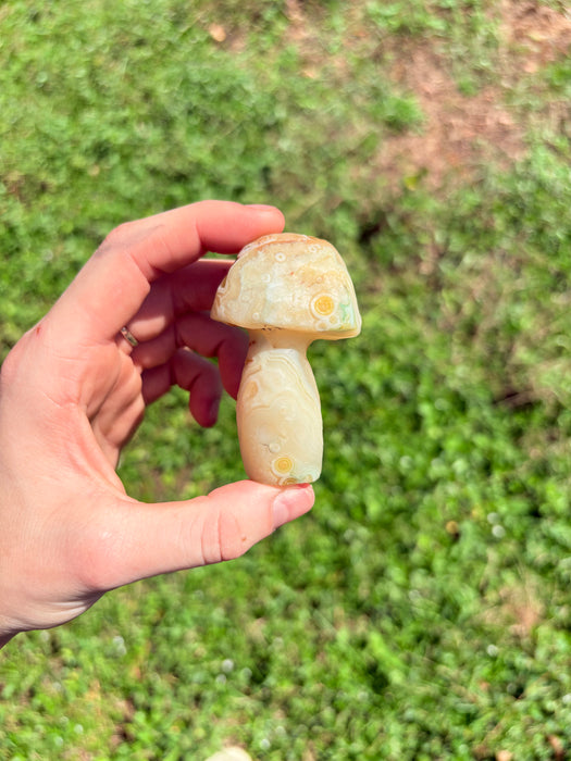 White, Green, Orange & Blue Gobi Agate Mushroom
