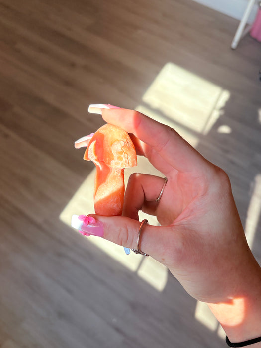 Vivid Orange & White Gobi Agate Mushroom