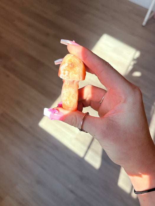 Vivid Orange & White Gobi Agate Mushroom
