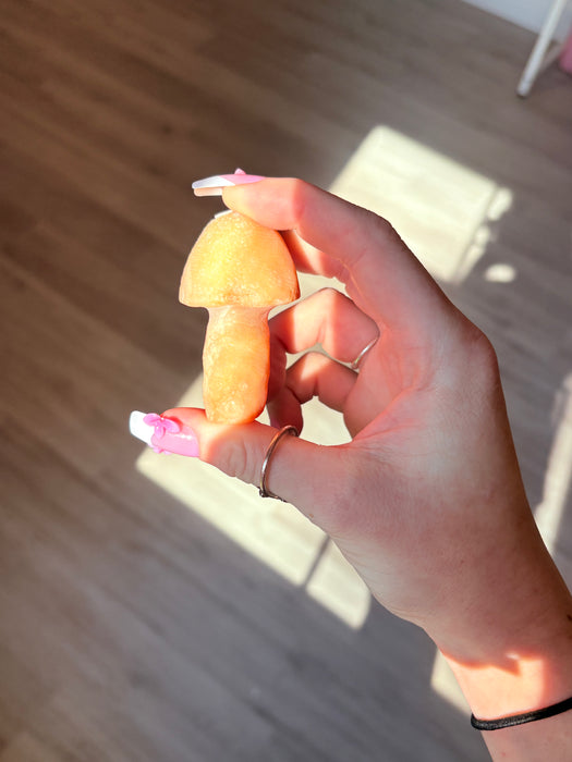 Vivid Orange & White Gobi Agate Mushroom