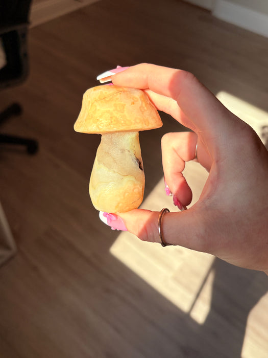 Large Yellow & Green Gobi Agate Mushroom