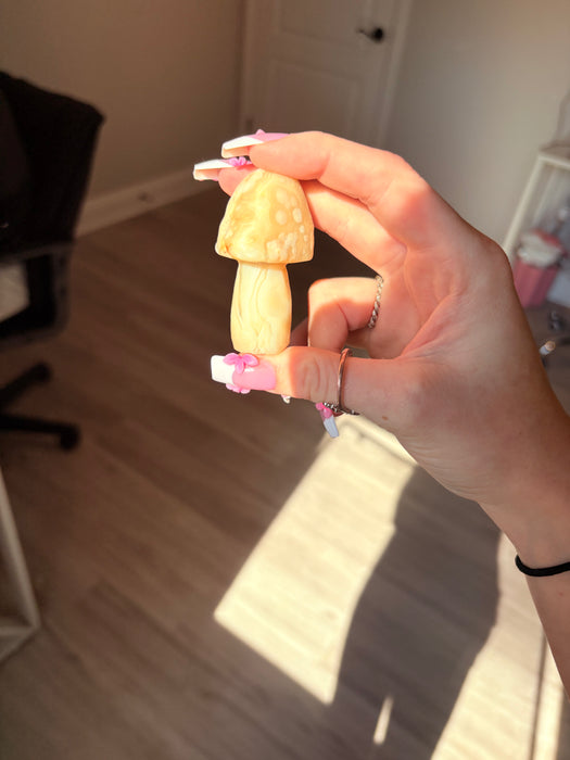 Light Green & White Gobi Agate Mushroom