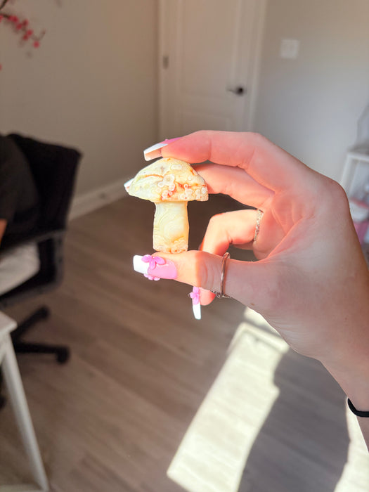White, Green, Orange & Blue Gobi Agate Mushroom