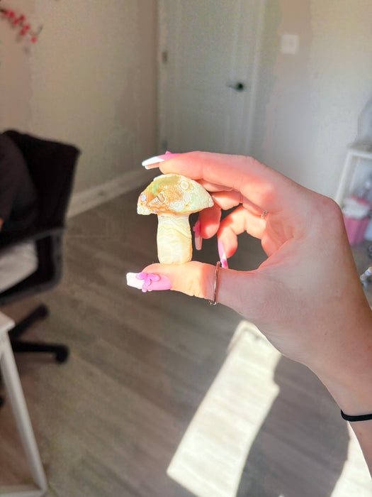 White, Green, Orange & Blue Gobi Agate Mushroom