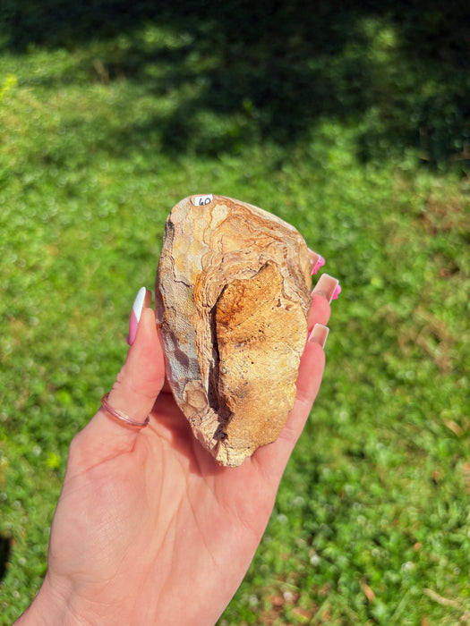 Yellow, Beige & White Sugary Agate on Stand
