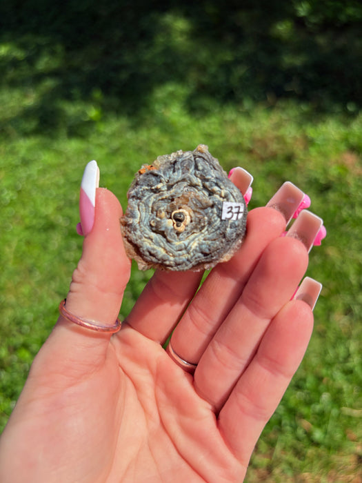 Sugary Chalcedony Flower