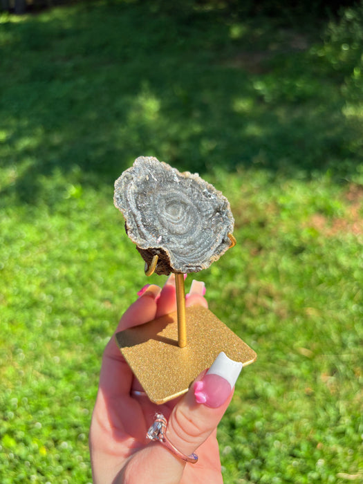 Sugary Chalcedony Flower