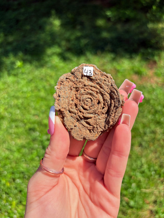 Sugary Chalcedony Flower