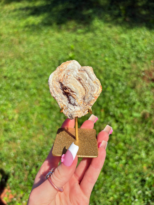 Sugary Chalcedony Flower