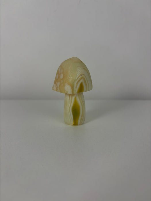 Light Green & White Gobi Agate Mushroom