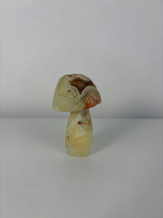 White, Green, Orange & Blue Gobi Agate Mushroom