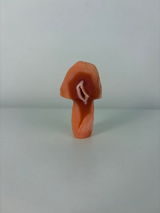 Vivid Orange & White Gobi Agate Mushroom